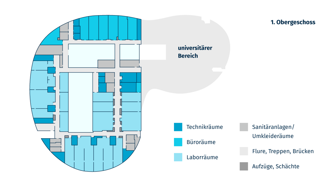 1. Obergeschoss: Laboreinheiten der Sicherheitsstufe 2 nach GenTSV, Isotopenlabor