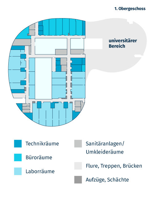 1. Obergeschoss: Laboreinheiten der Sicherheitsstufe 2 nach GenTSV, Isotopenlabor